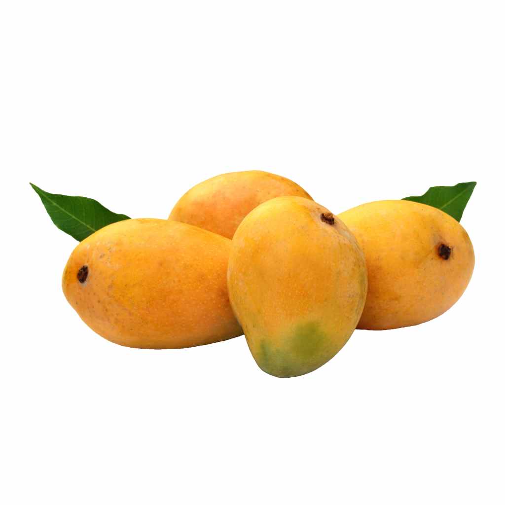 Munda Eiwas Mango [ 1 Pac ]