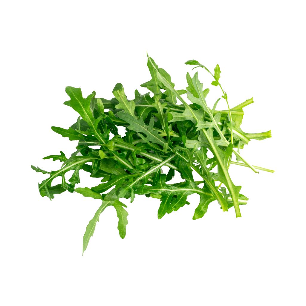 Baby Arugula [ 100g ]