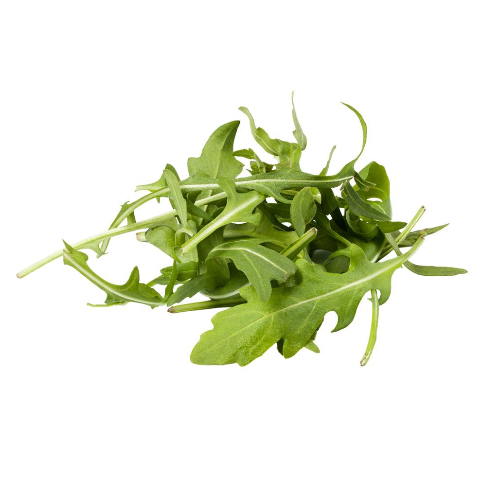Baby French Rocket [ 75g ]
