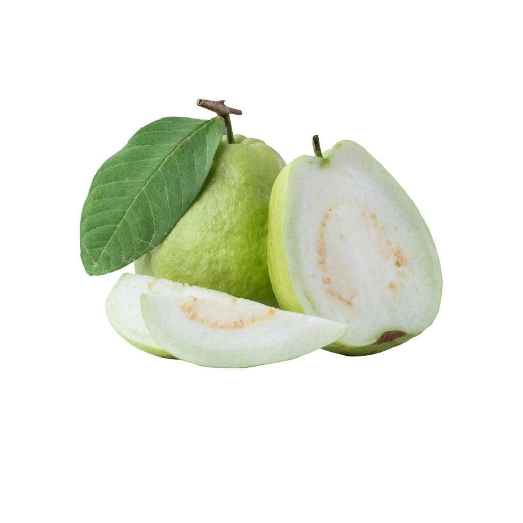 Munda Guava [ 1 Pac ]