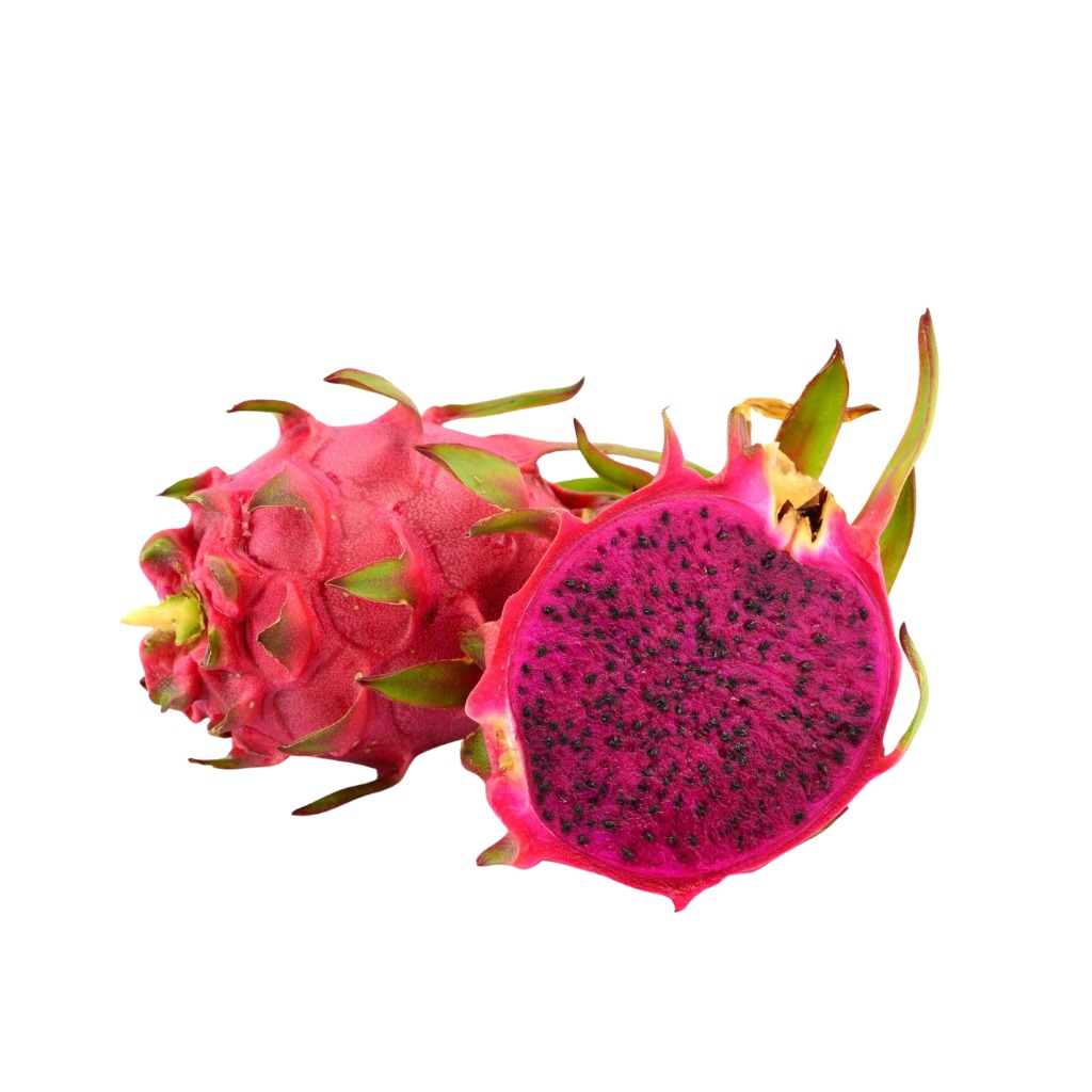 Munda Dragon Fruit [ Head ]