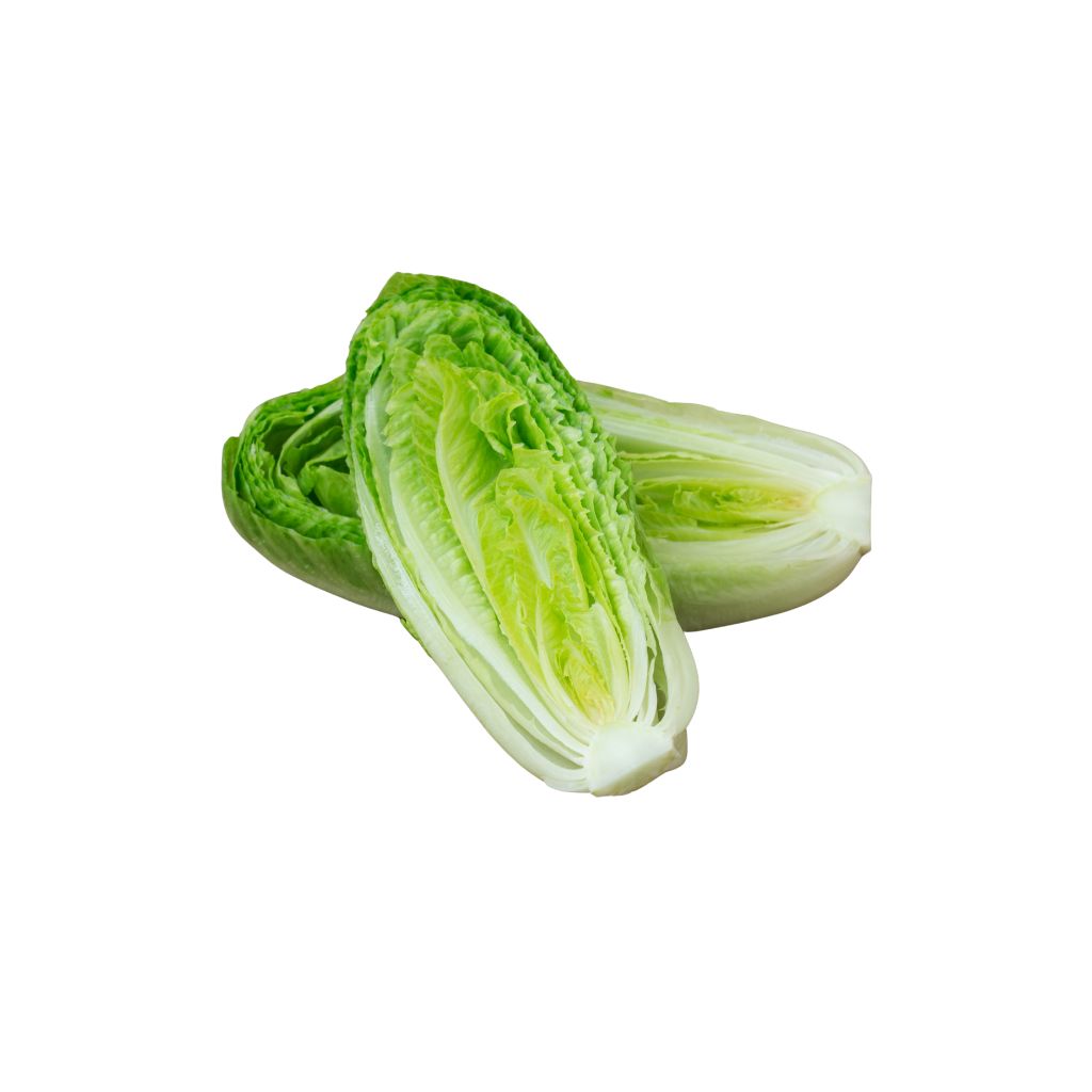 Romaine Hearts [ 2 Heads ]