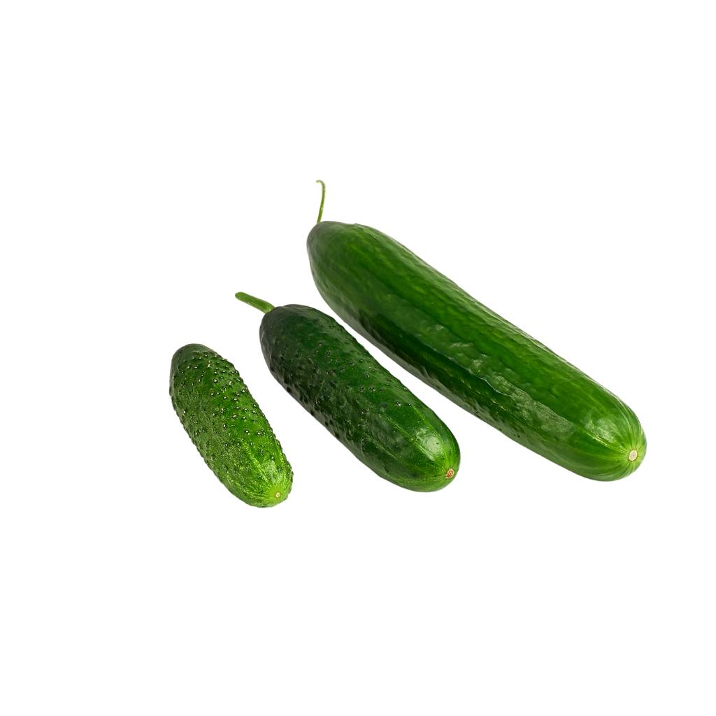 Cucumber Mix [ 400g ]