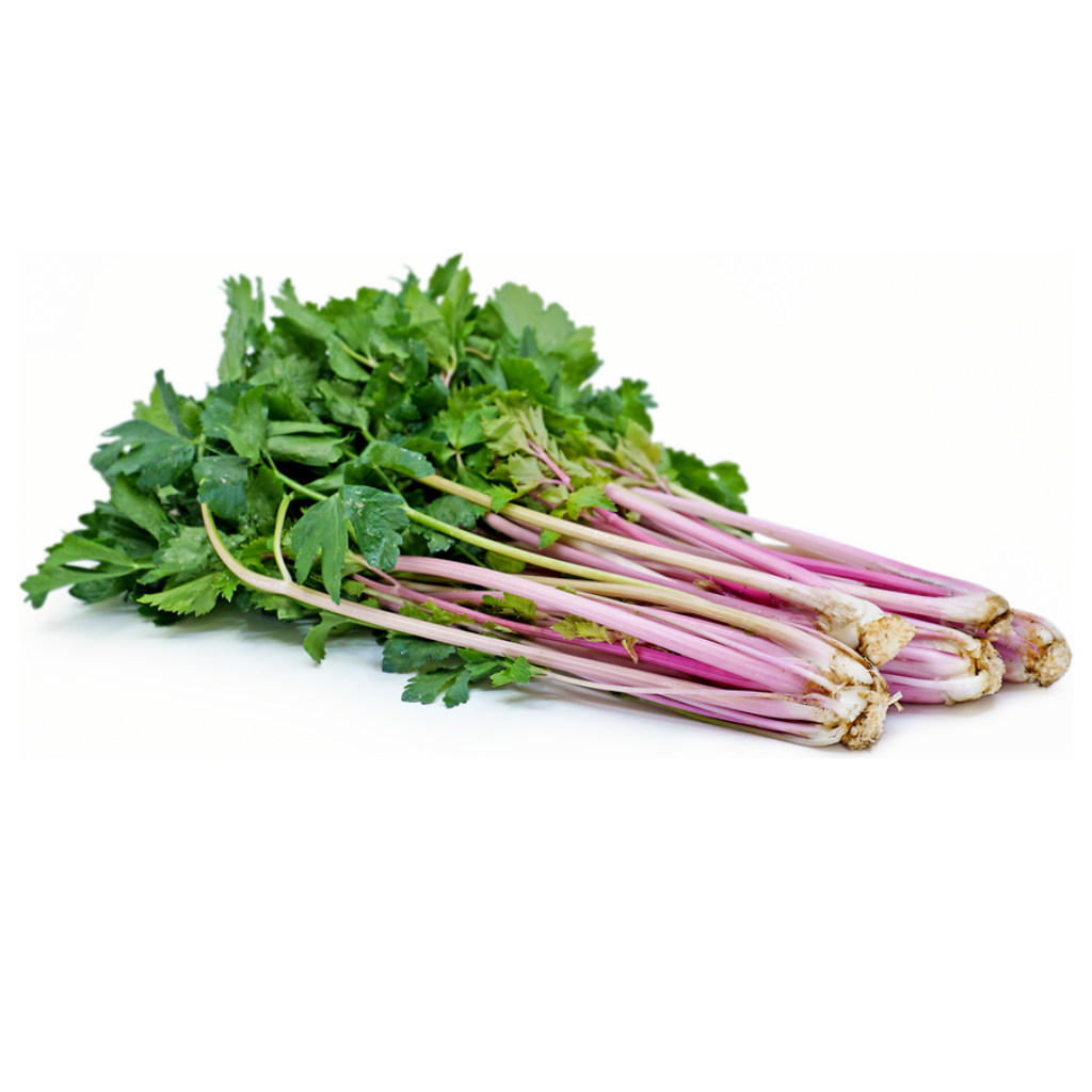 Pink Celery Crunch Sticks [ Head ]