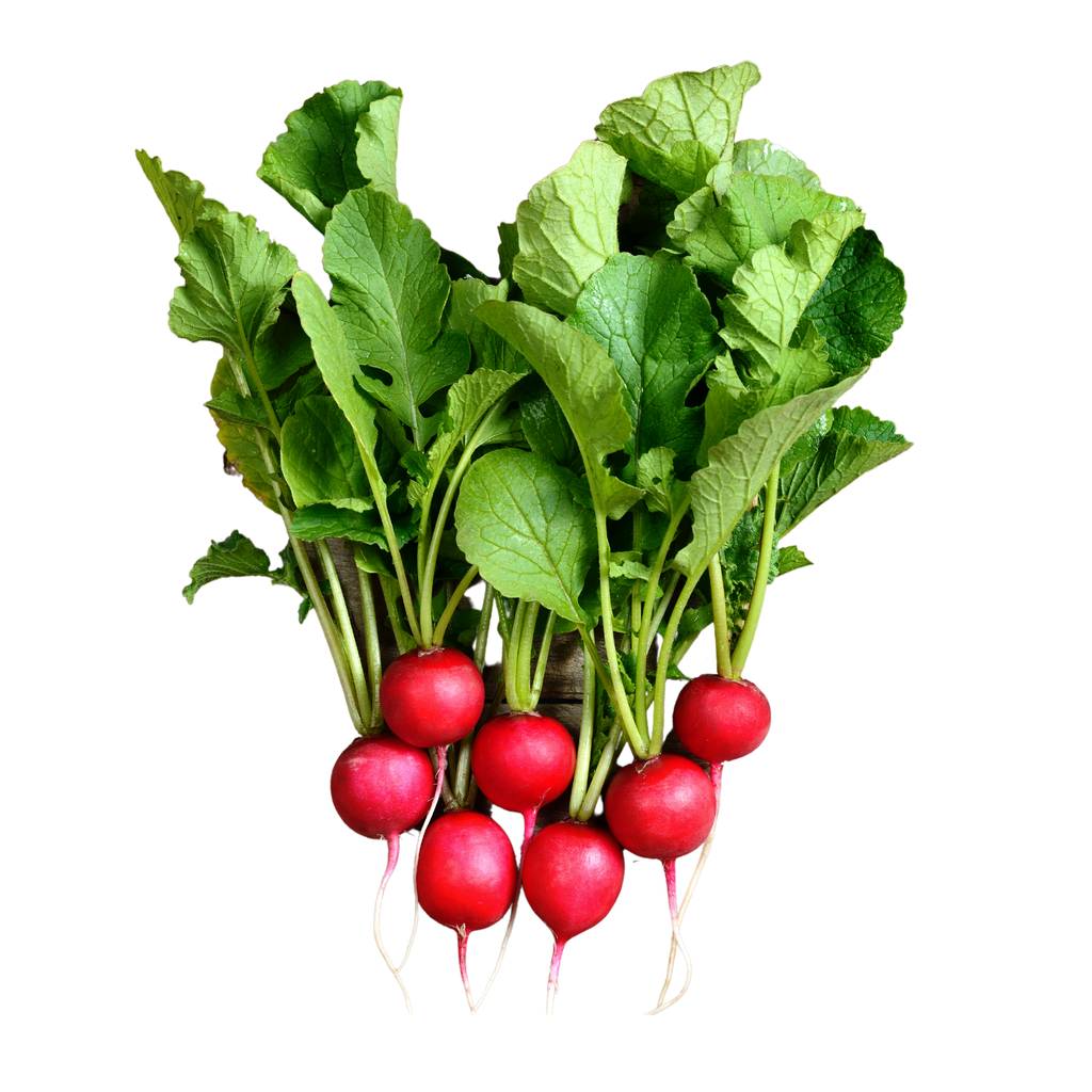 Baby Red Radish [ 125g ]