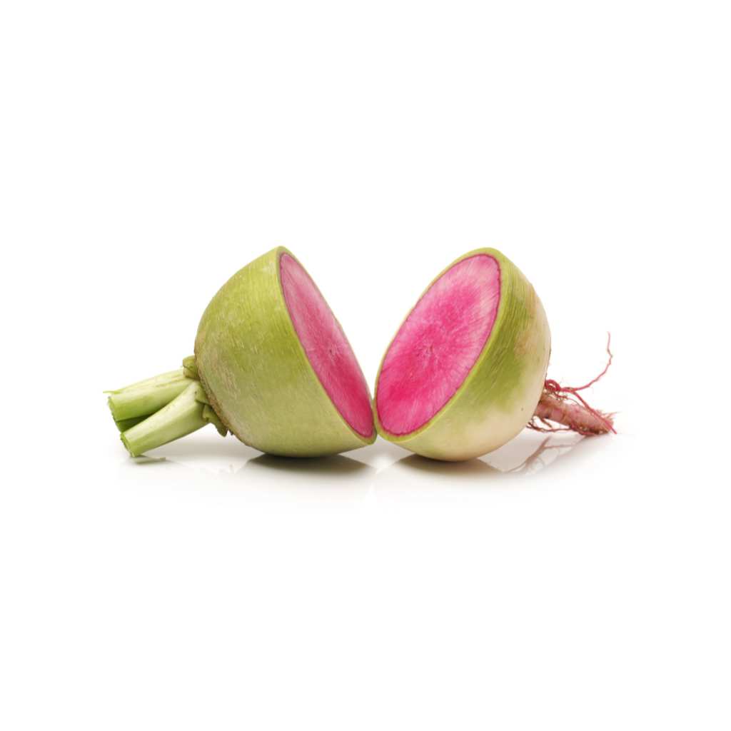 Watermelon Radish [ 125g ]