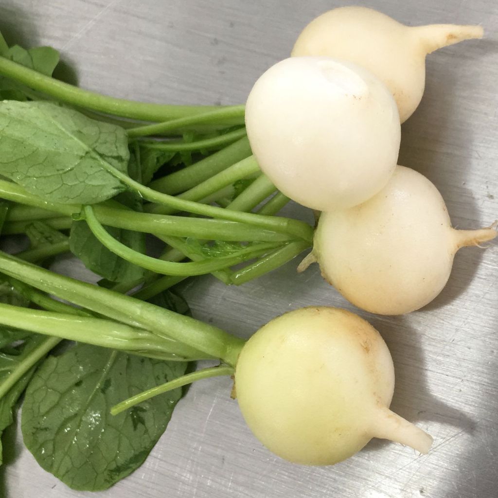 White Radish [ 125g ]