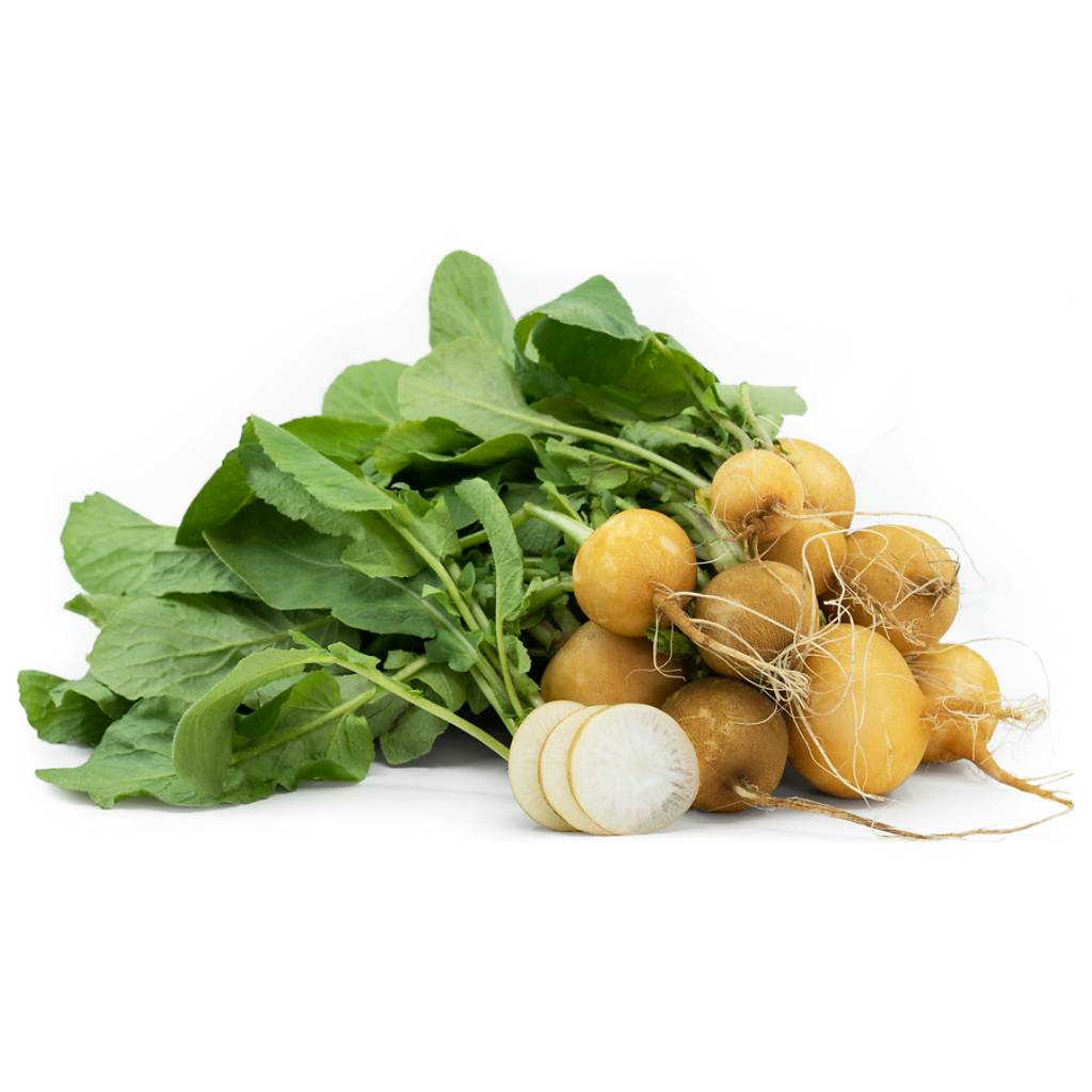 Yellow Radish [ 100g ]