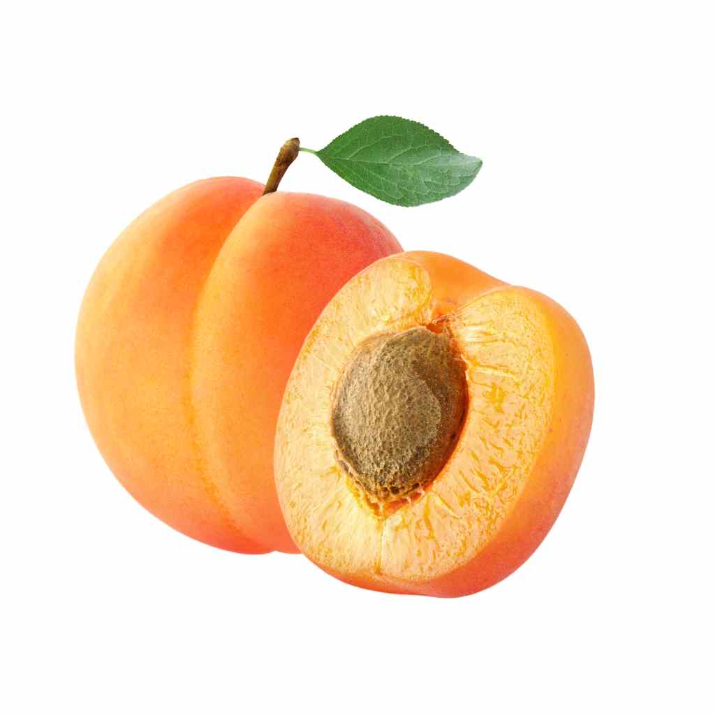 Munda Apricot [ 1 Pac ]