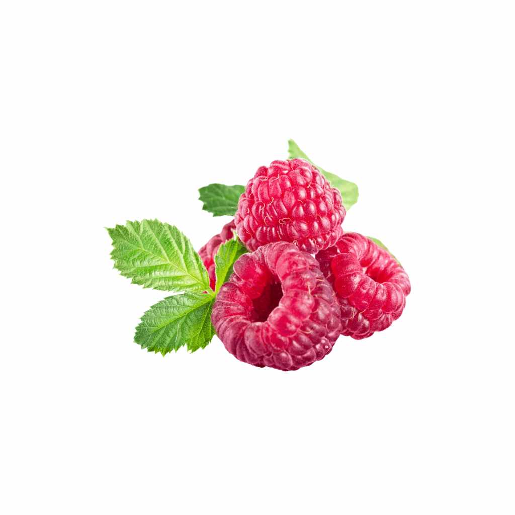 Munda Raspberry [ 1 Pac ]