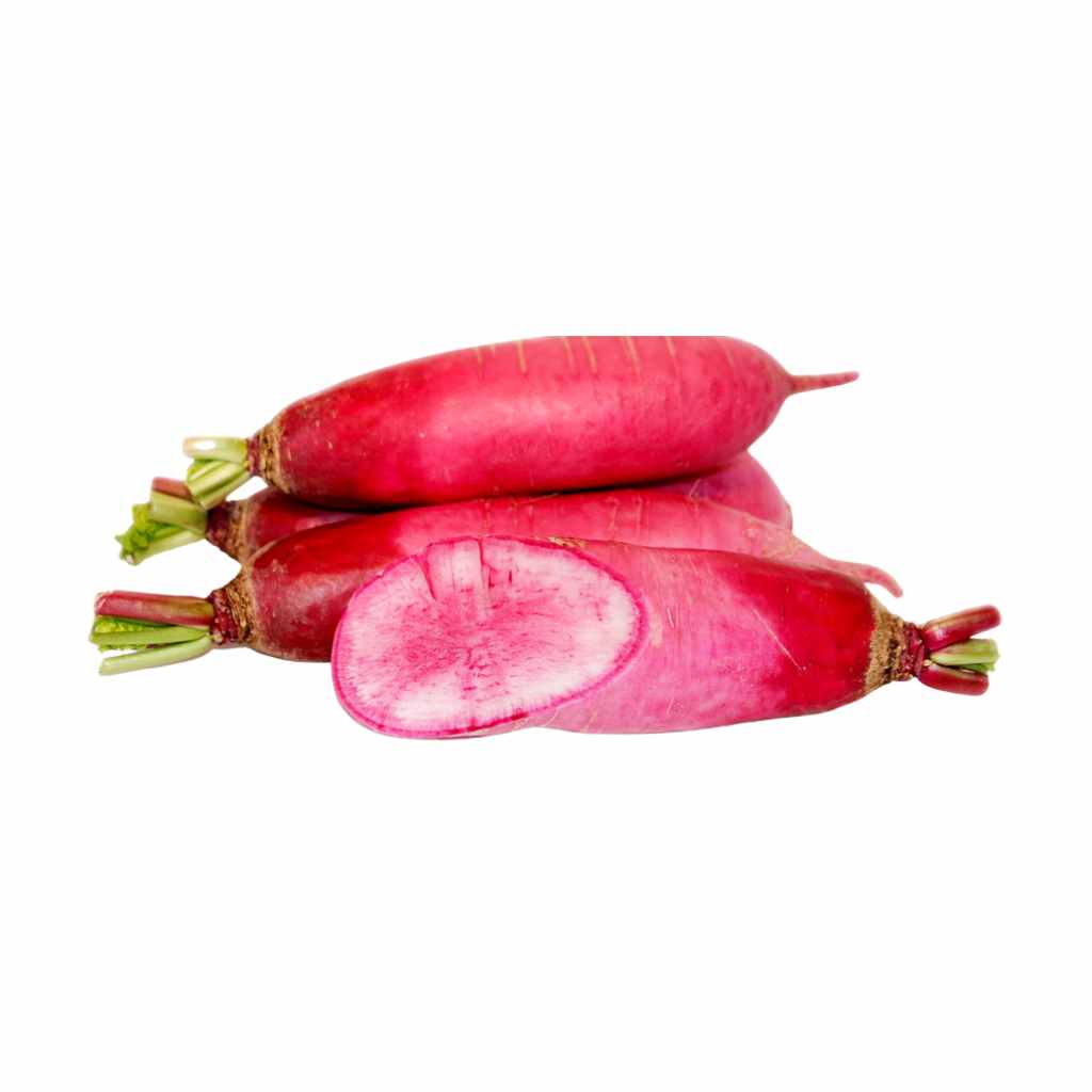 Red Daikon Radish [ 100g ]