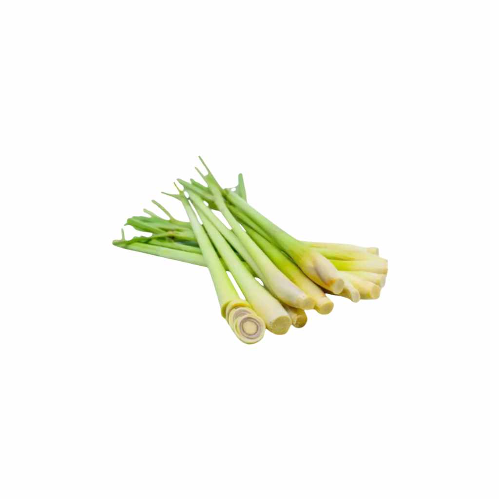 Munda Lemongrass [ 1 Pac ]