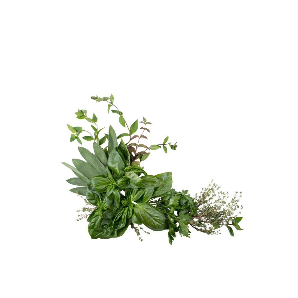 Chef's Herb Bundle [ 200g ] 