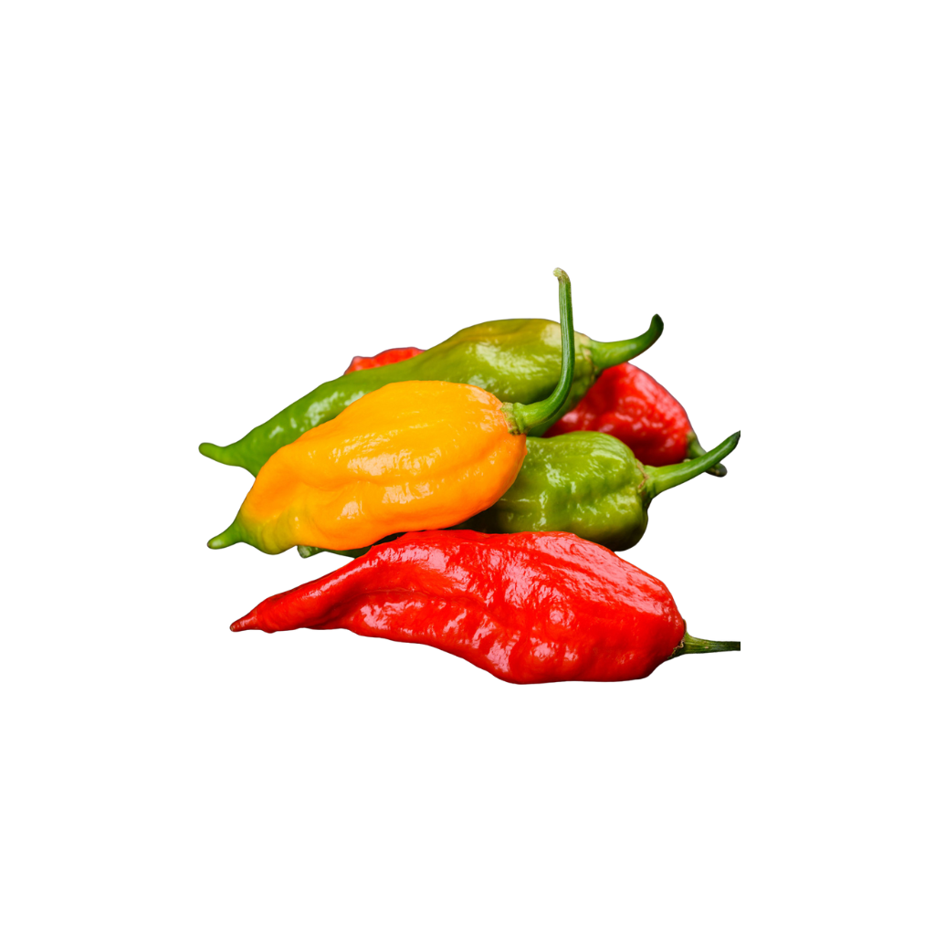 Ghost Chilli Mix [ 100g ]