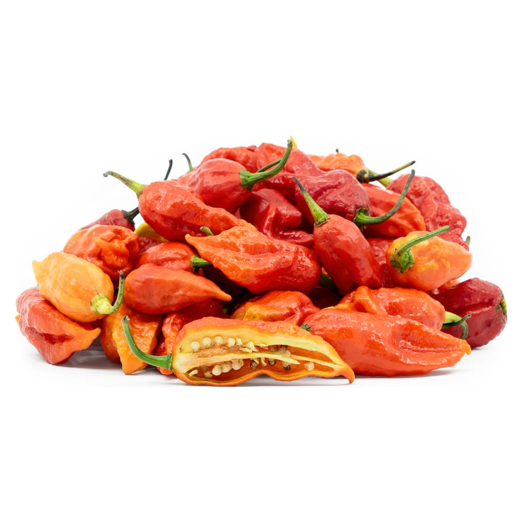 Ghost Chilli Red [ 100g ]