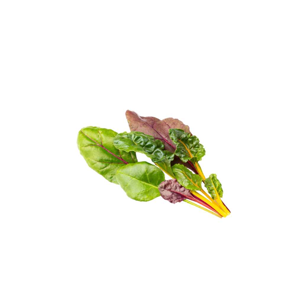 Baby Swiss Chard Flame [ 100g ]