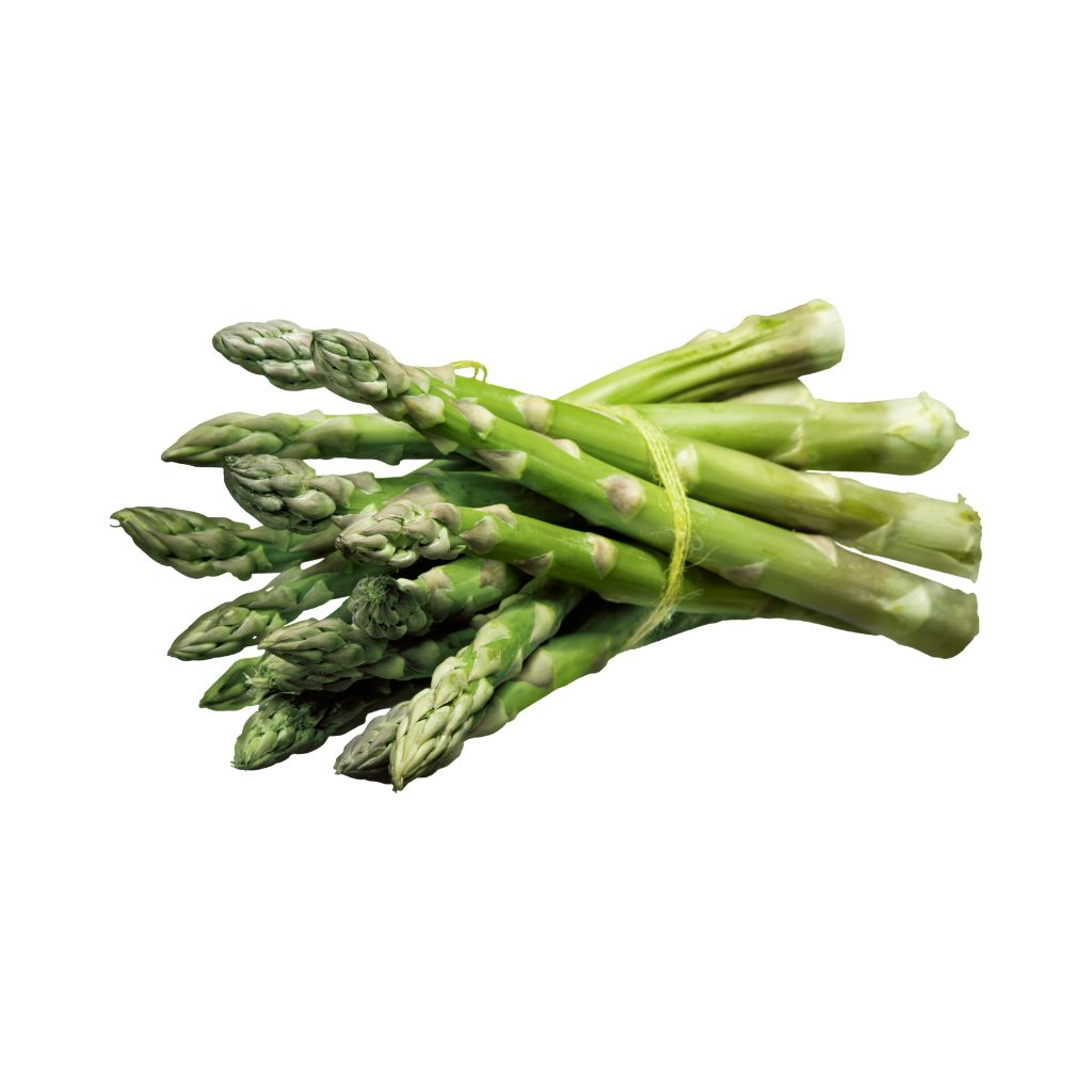 Munda Asparagus [ 1 Pac ]
