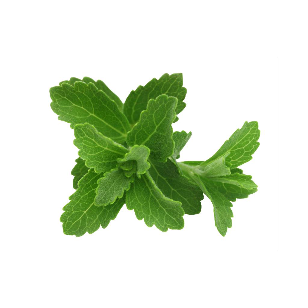 Spearmint [ 75g ]