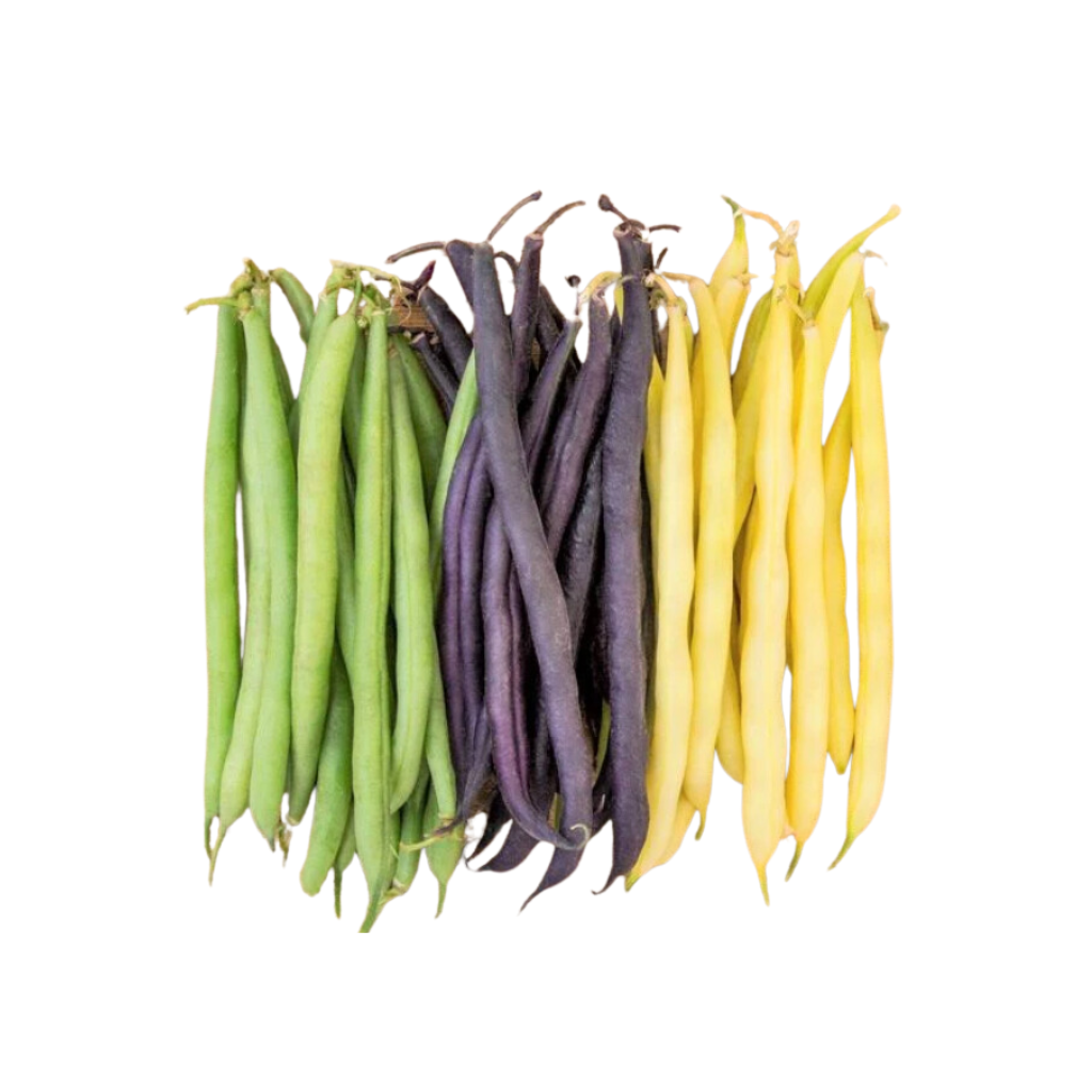 Tri-Color Fresh Beans [ 200g ]