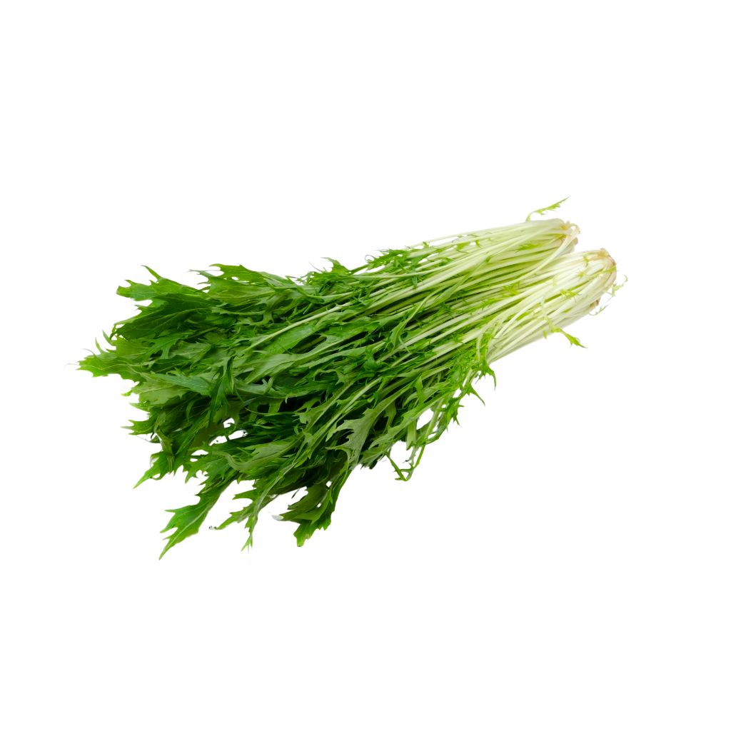 Mizuna [ 125g ]