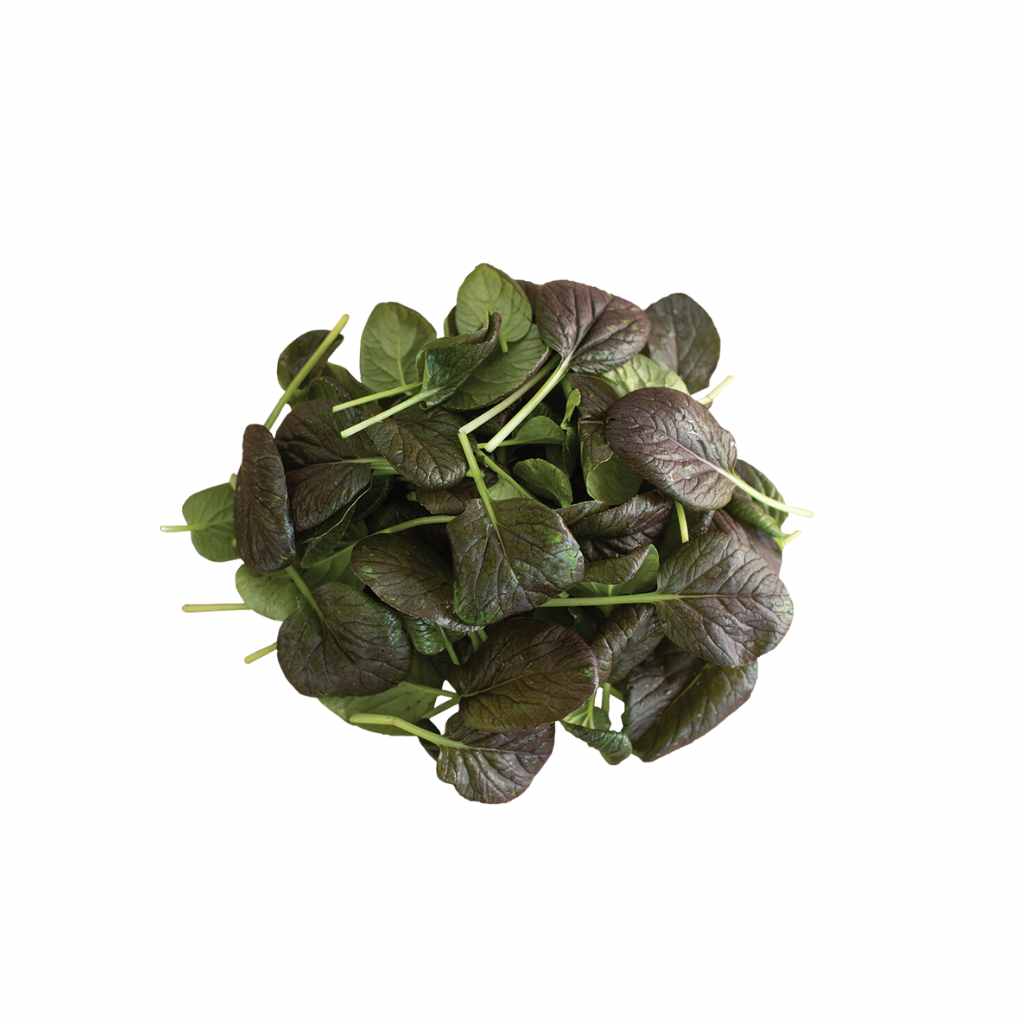 Tatsoi Red Leaf [ 125g ]