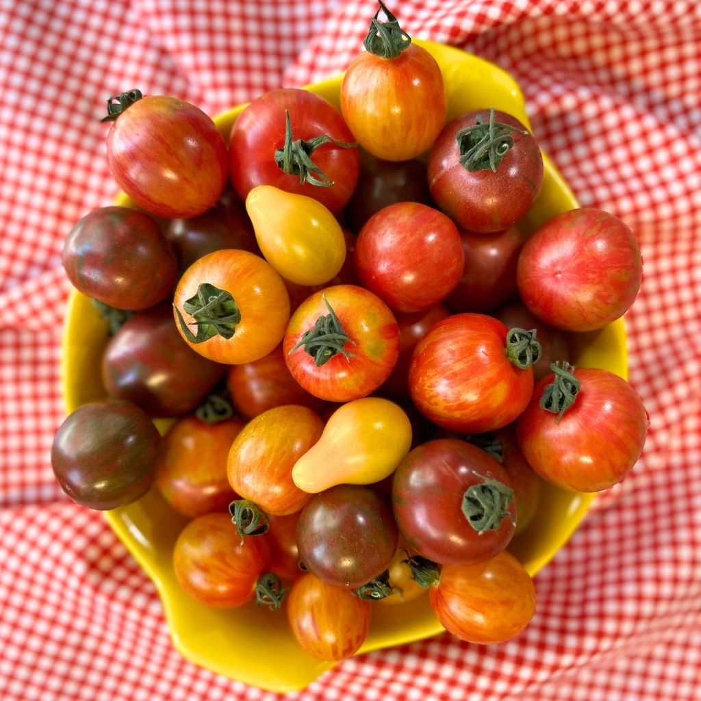 Artisan Round Tomato [ 500g ]