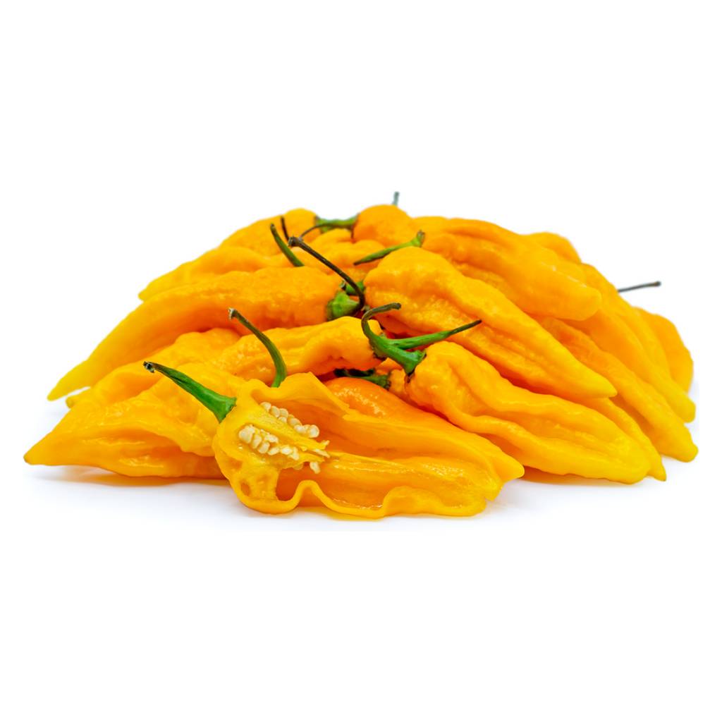 Ghost Chilli Golden [ 100g ]