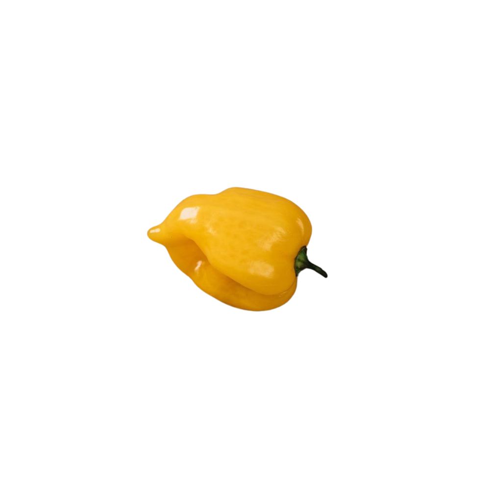 Yellow Habanero [ 100g ]