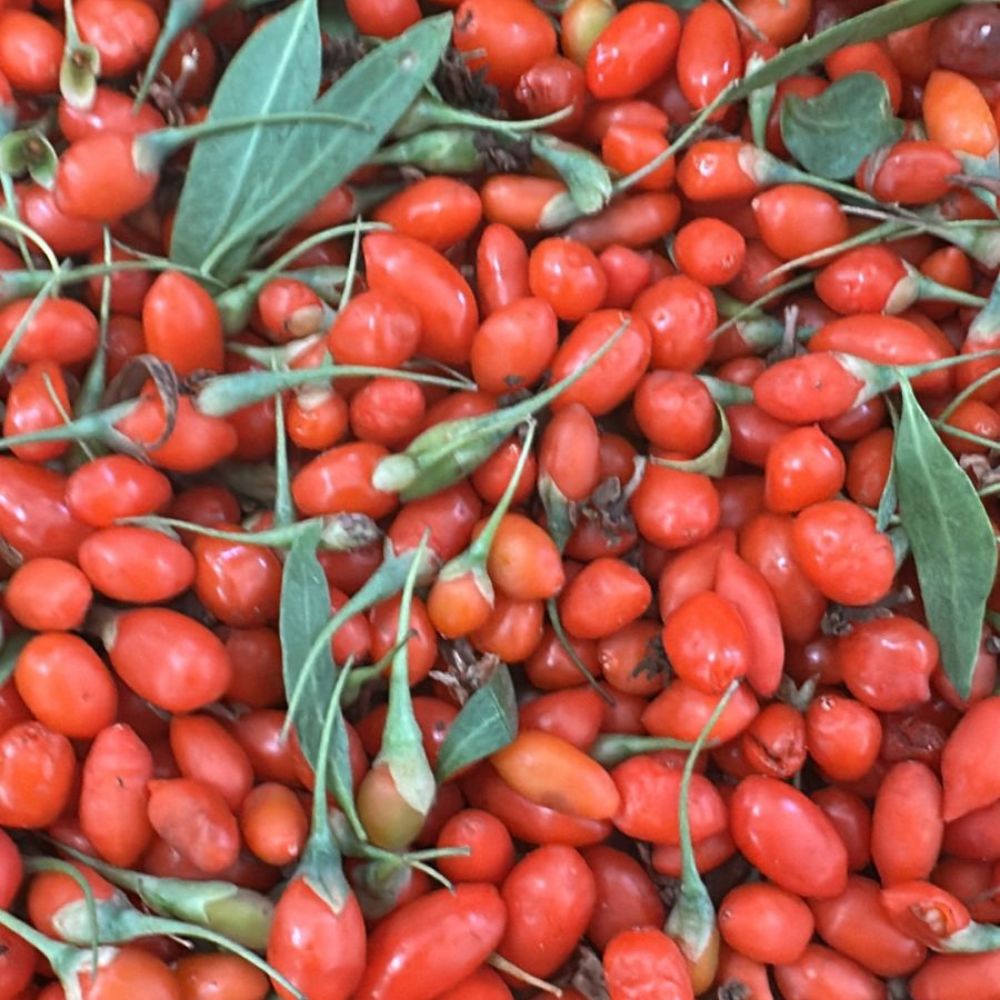 Goji Berry [ 100g ]