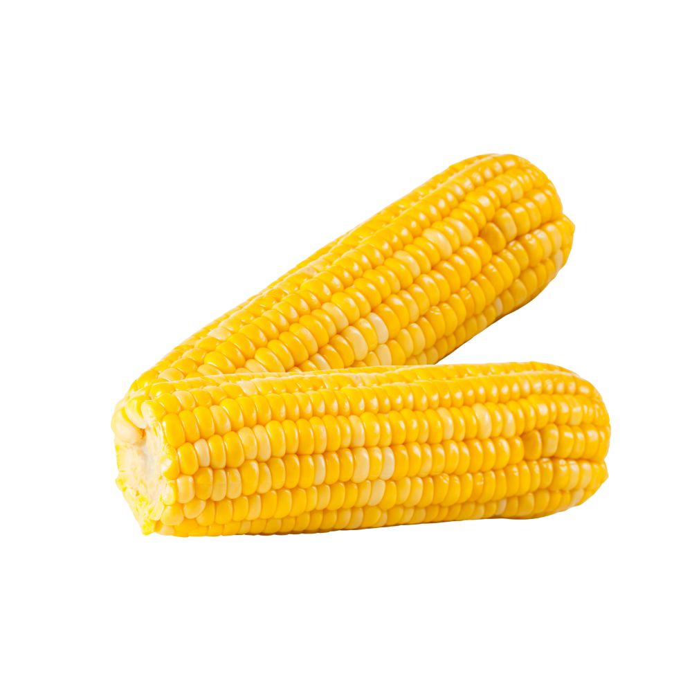 Boiled Sweet Corn [ 2 Pieces ]