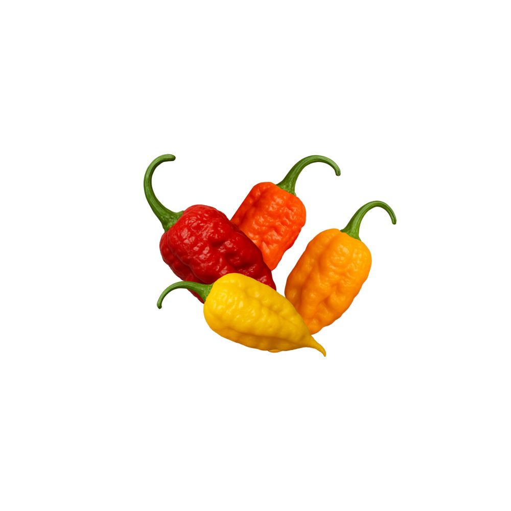 Carolina Reaper Mix [ 100g ]