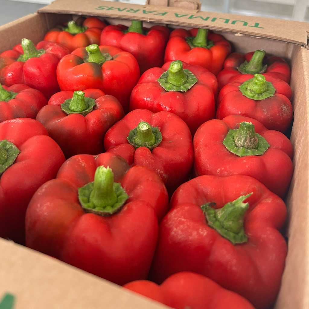 Royal Red Bell Pepper [ 400g ]