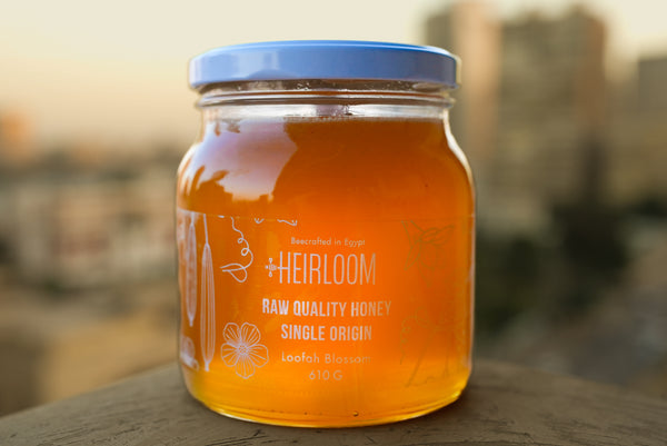 Raw Heirloom Loofah Flower Honey [ 610g ] 