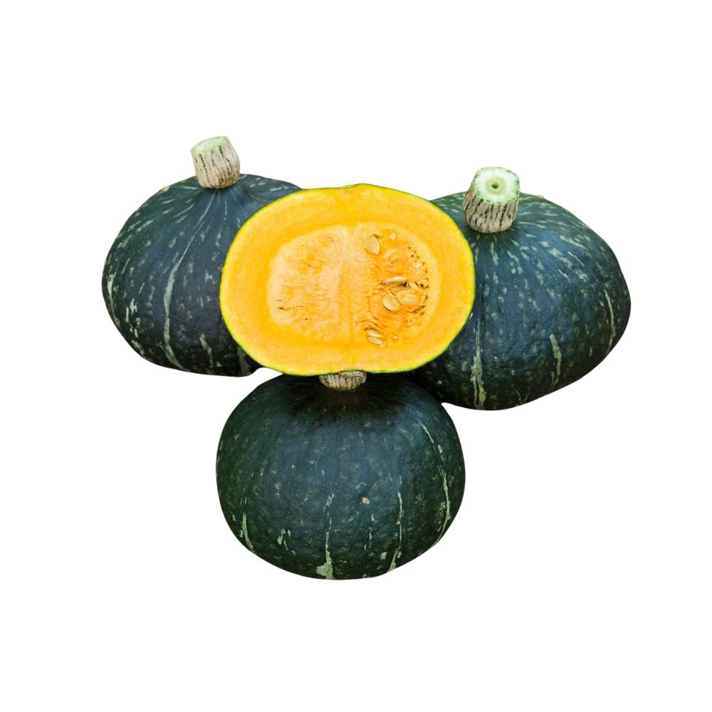 Hokkaido Squash Green [ Head ]