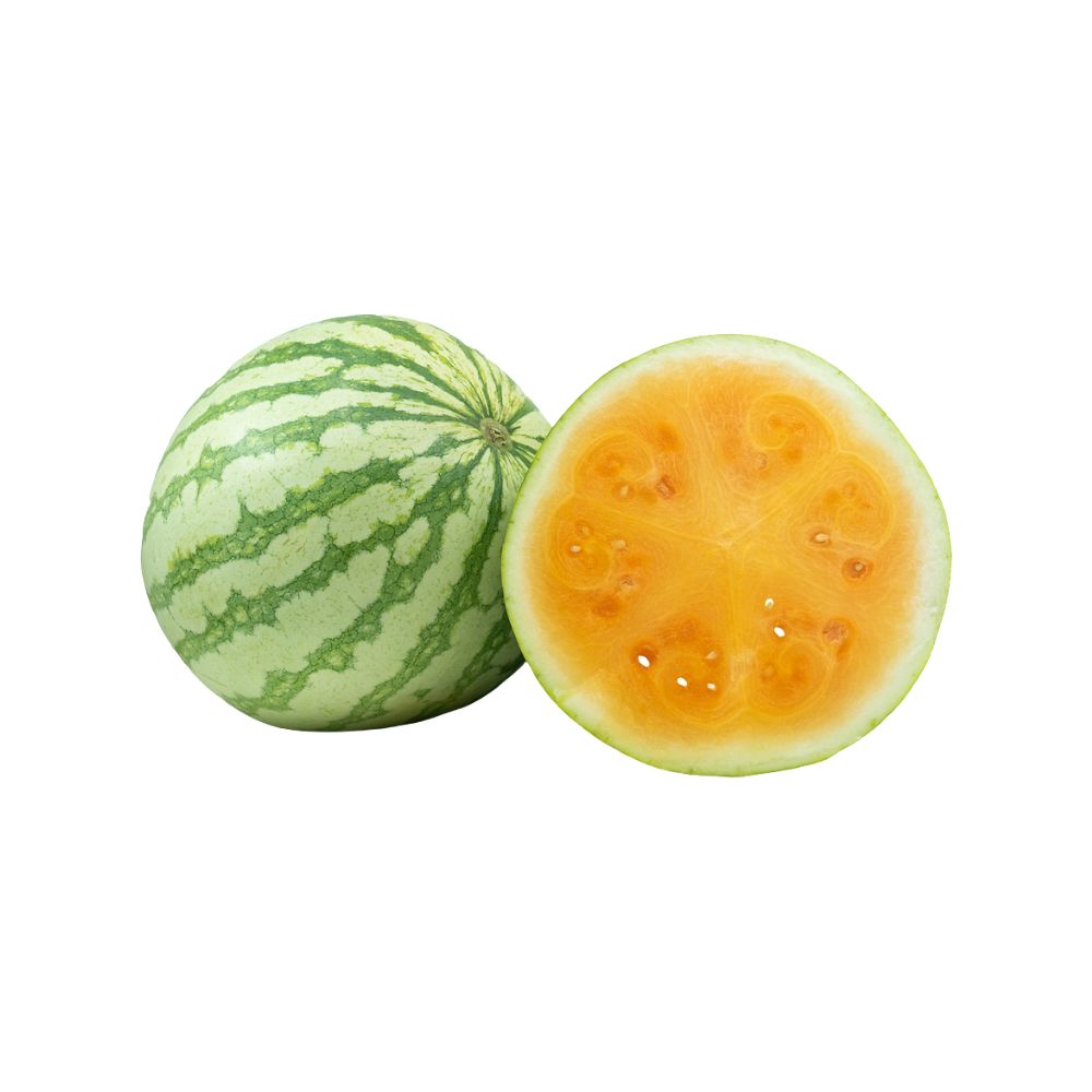 Mini Orange Watermelon [ Head ]
