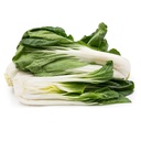 Bok Choy Green [ Head ]