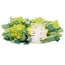 Broccoli Romanesco Green [ Head ]