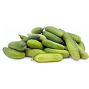 Gherkin Cucumber [ 1kg ]