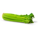 Celery Sticks [ Head ]