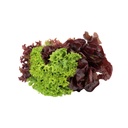 Lettuce Leaf Mix [ 125g ]