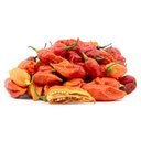 Ghost Chilli Red [ 125g ]