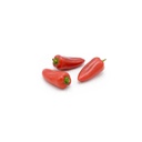Snack Pepper Red  [ 250g ]