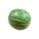 Munda Watermelon [ Head ]