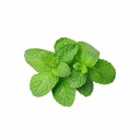 Mint [ 75g ]