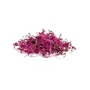 Microgreen Amaranth Red - Plate