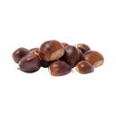 Munda Chestnut [ 1 Pac ]