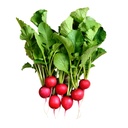 Baby Red Radish [ 125g ]