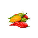 Ghost Chilli Mix [ 100g ]