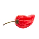 Red Habanero [ 100g ]