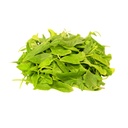 Baby Yellow Spinach [ 100g ]